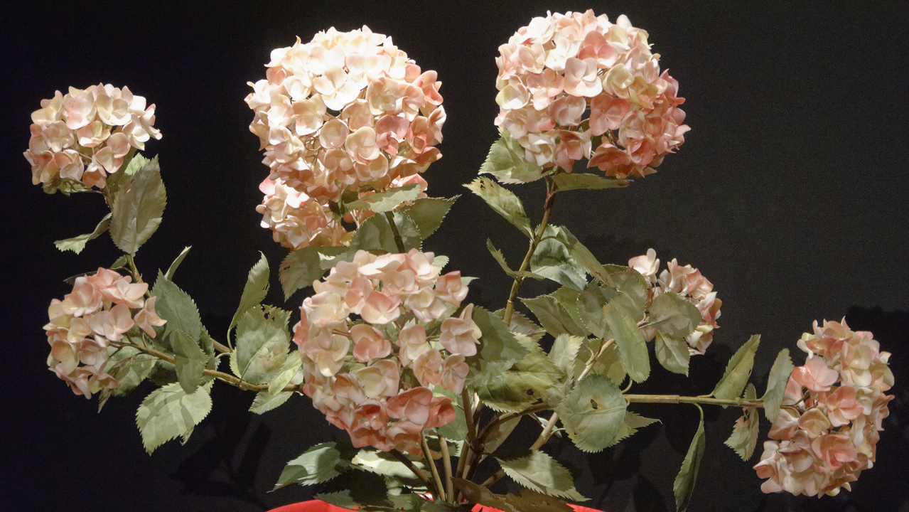 20140710 162211•Meissen•Saxony•Germany